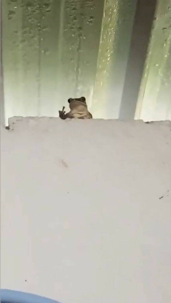 Dirty Minds Are Welcome!