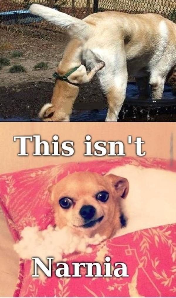 dirty minds are welcome 42 pics 21.html - 42 HD Photos | Premium Gallery 2025