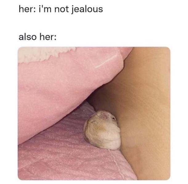 flirty memes to send your better half 32 pics 1.html - 32 HD Photos | Premium Gallery 2025