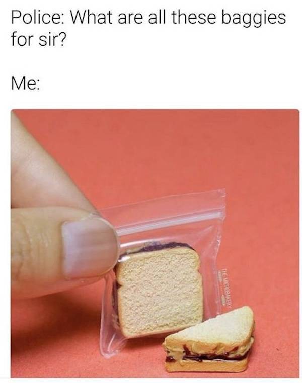 Dirty Dump For Dirty Minds