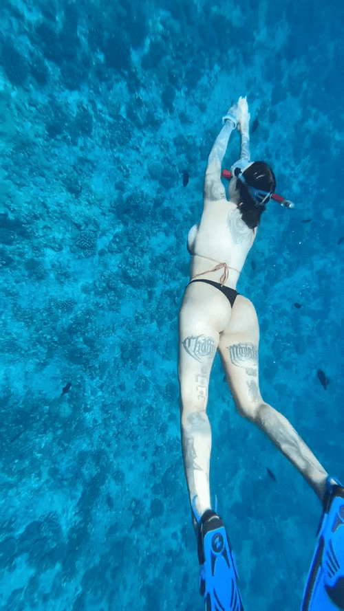 sexy girls in their sexy thongs 15 pics 21 gifs 17.html - 15 HD GIF | Premium Gallery 2025