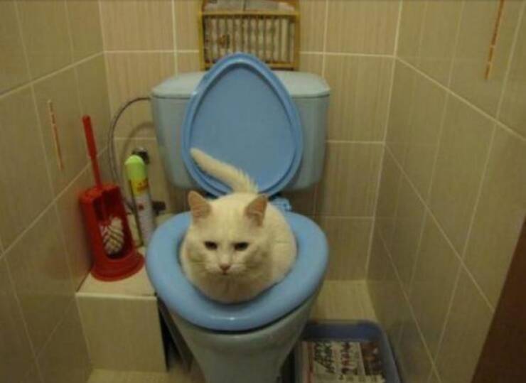 Dirty Minds Are Welcome!