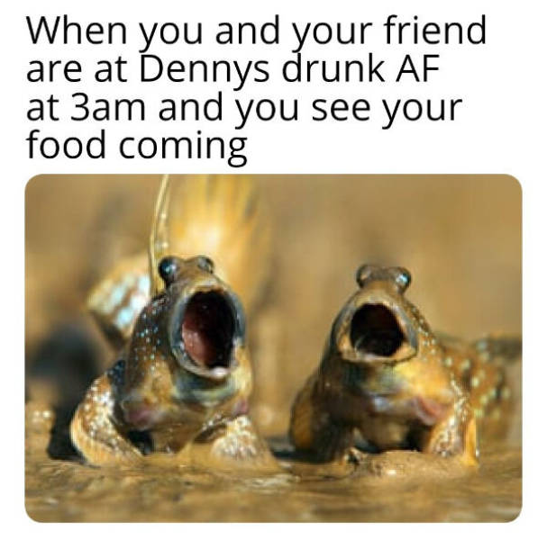 drinking never ends 34 pics 16.html - 34 HD Photos | Premium Gallery 2025