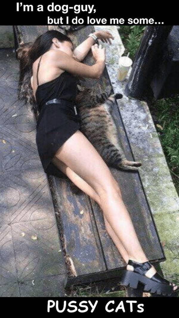 nsfw laughs for grownups 40 pics 15.html - 40 HD Photos | Premium Gallery 2025