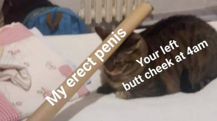 Dirty Dump For Dirty Minds