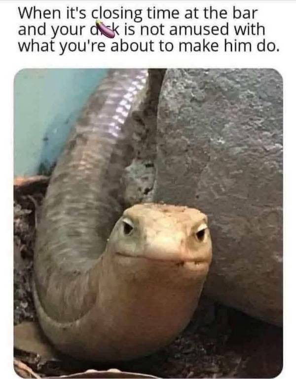 Dirty Dump For Dirty Minds