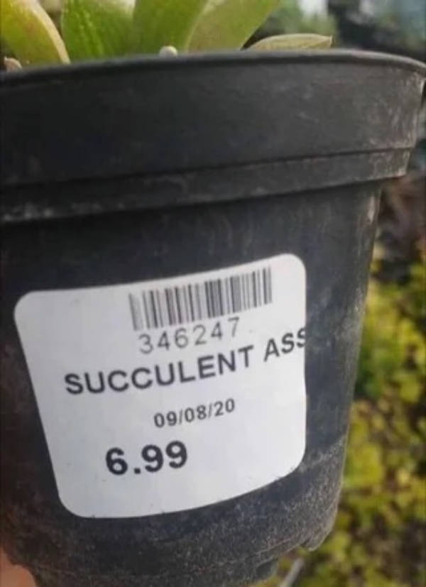 Dirty Dump For Dirty Minds