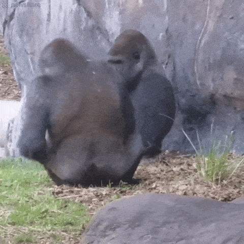 dirty minds are welcome 34 pics 17.html - 34 HD Photos | Premium Gallery 2025