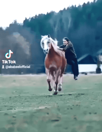 girls with skills 30 gifs 9.html - 1 HD GIF | Premium Gallery 2025