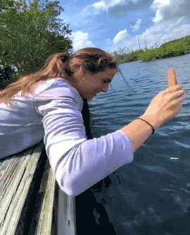 cowgirls have us in our country feels 32 gifs 2.html - 1 HD GIF | Premium Gallery 2025