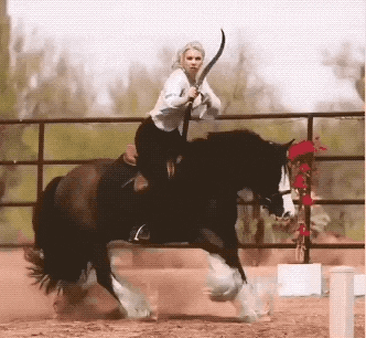 cowgirls have us in our country feels 32 gifs 2.html - 1 HD GIF | Premium Gallery 2025