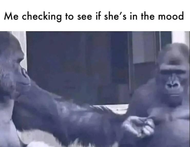 Flirty Memes To Annoy Your Significant Other