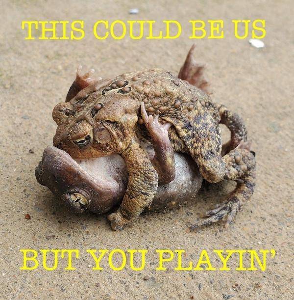 Flirty Memes To Annoy Your Significant Other