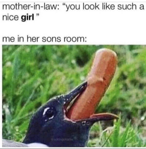 dirty minds are welcome 37 pics 6.html - 37 HD Photos | Premium Gallery 2025