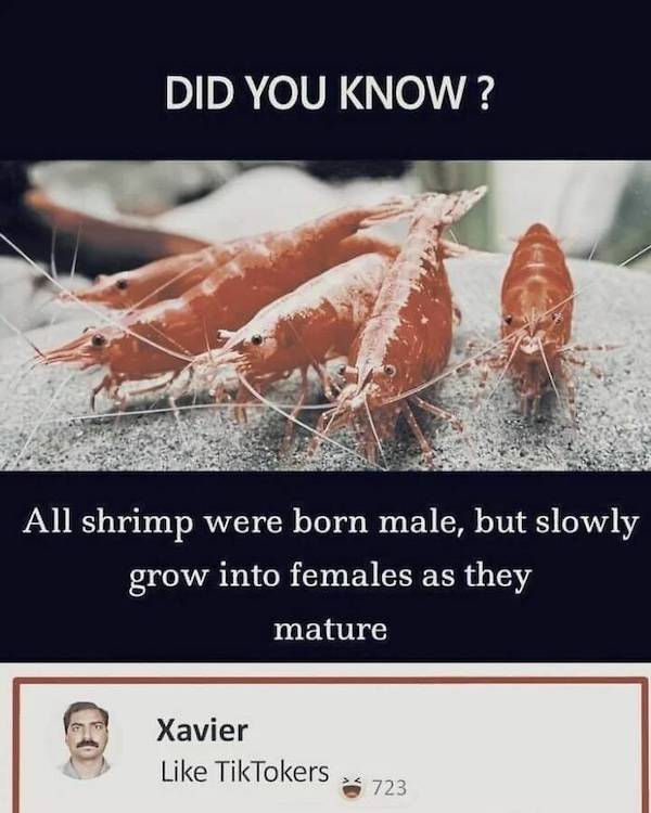 dirty minds are welcome 39 pics 3.html - 39 HD Photos | Premium Gallery 2025