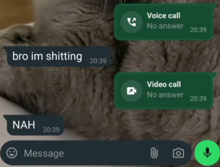 Whoa Whoa… Hold Up!