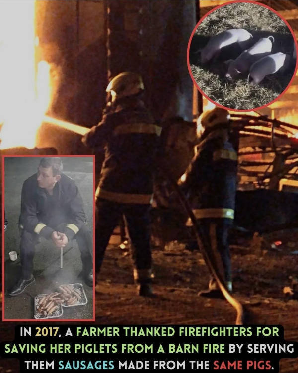 Whoa Whoa… Hold Up!