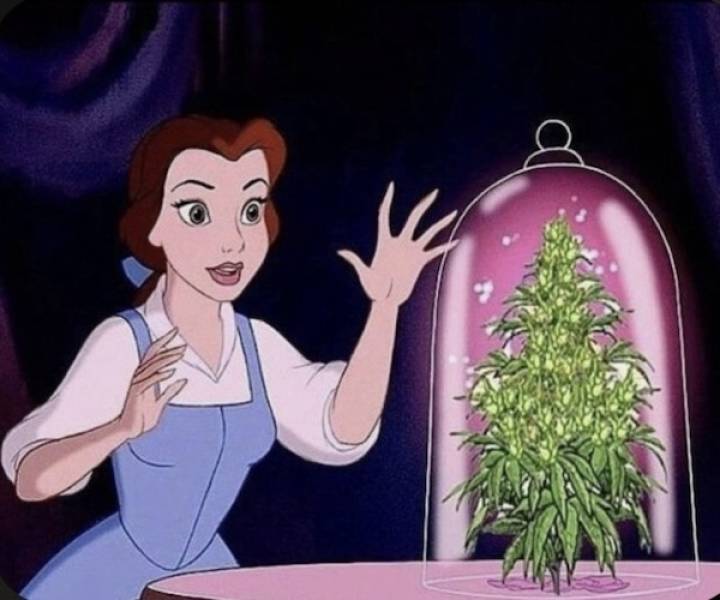 dirty minds are welcome 32 pics 4.html - 32 HD Photos | Premium Gallery 2025