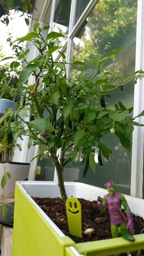 Dirty Dump For Dirty Minds