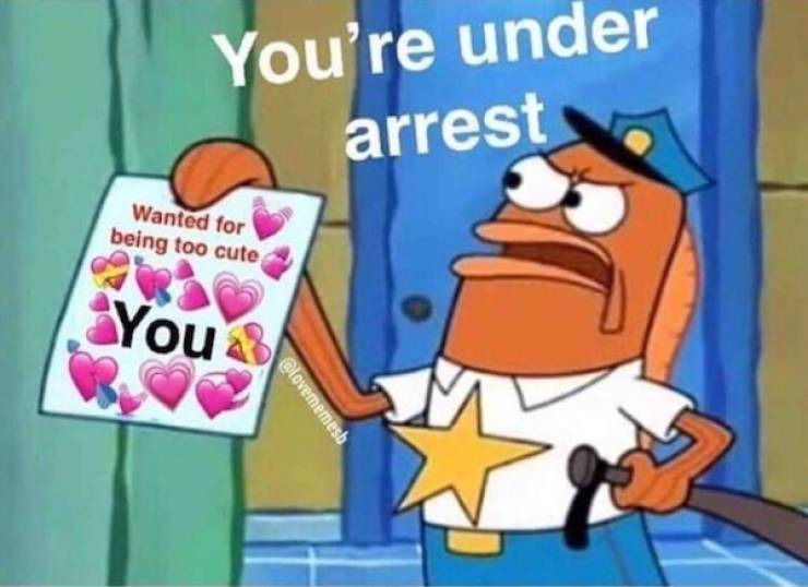 Flirty Memes To Send Your Better Half