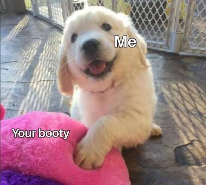 Flirty Memes To Send Your Better Half