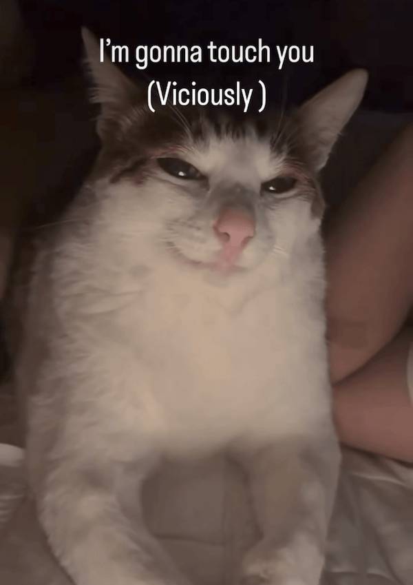 Flirty Memes To Send Your Better Half