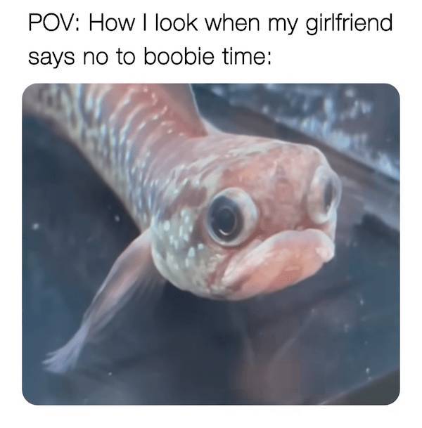 Flirty Memes To Send Your Better Half