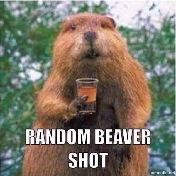 Beer-a-FULL Memes For Everyone!
