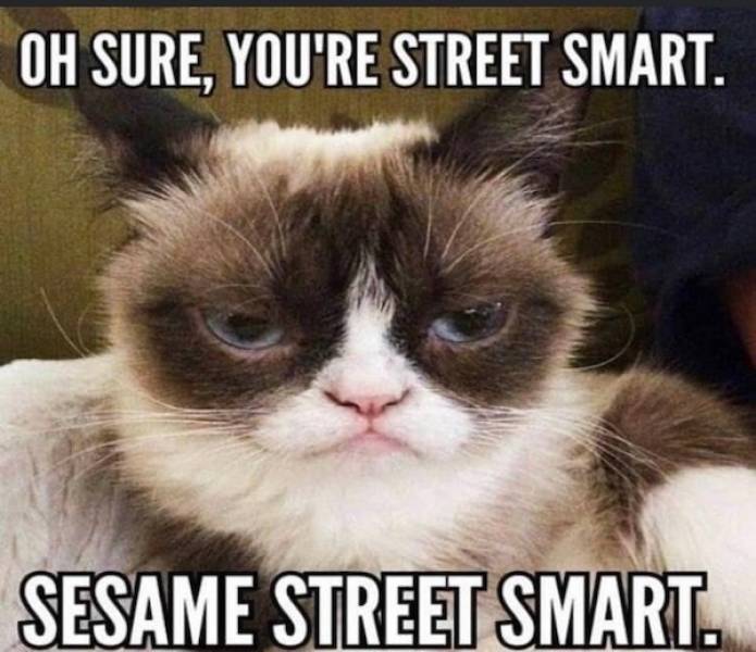 beerafull memes for everyone 44 pics 19.html - 44 HD Photos | Premium Gallery 2025