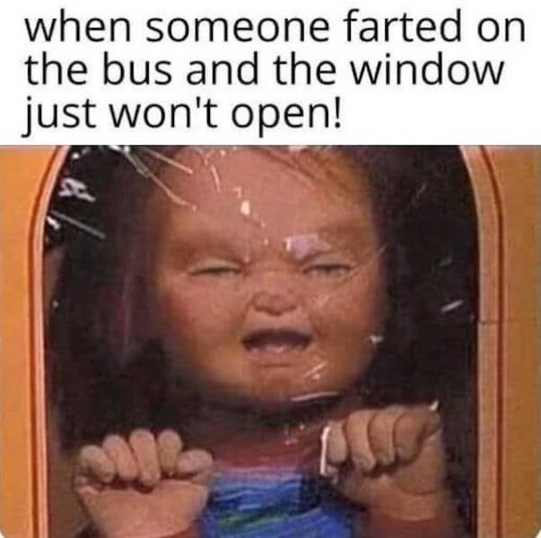 beerafull memes for everyone 44 pics 19.html - 44 HD Photos | Premium Gallery 2025