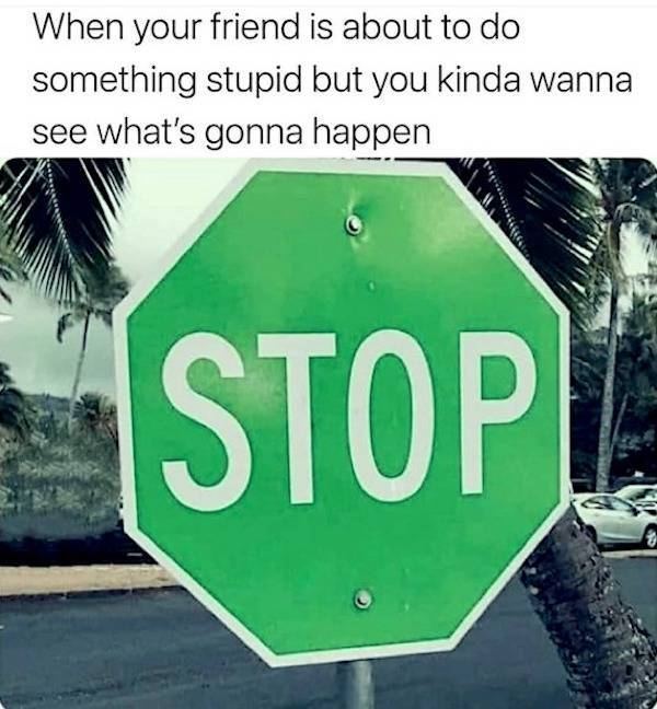 beerafull memes for everyone 44 pics 19.html - 44 HD Photos | Premium Gallery 2025
