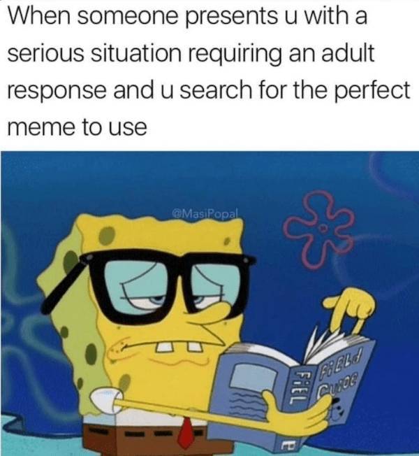 beerafull memes for everyone 44 pics 19.html - 44 HD Photos | Premium Gallery 2025
