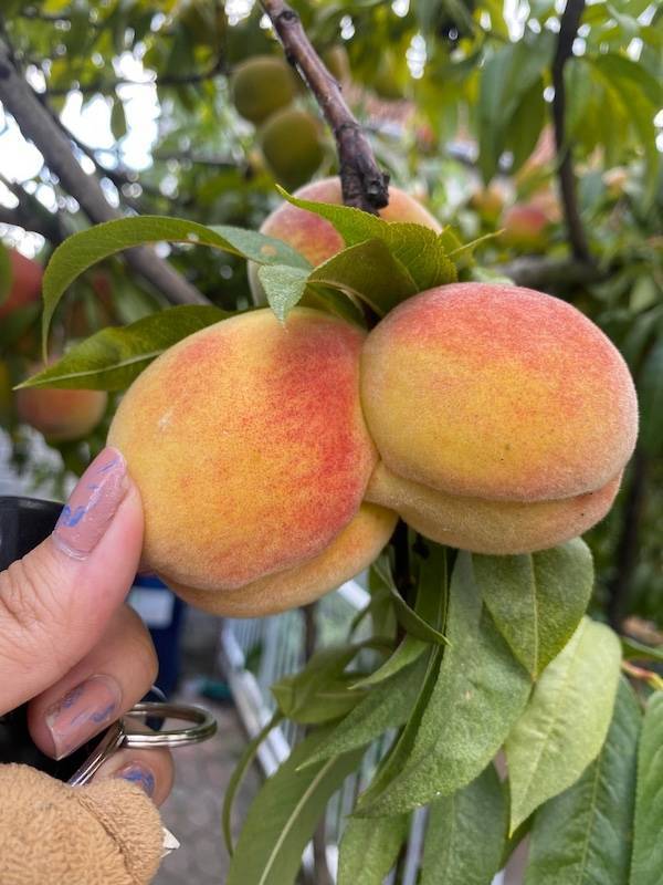 dirty dump for dirty minds 37 pics 7.html - 37 HD Photos | Premium Gallery 2025