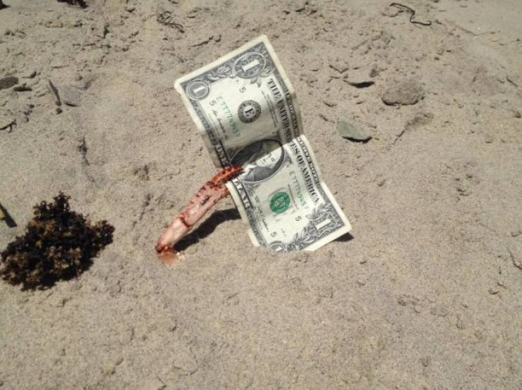 Dirty Dump For Dirty Minds