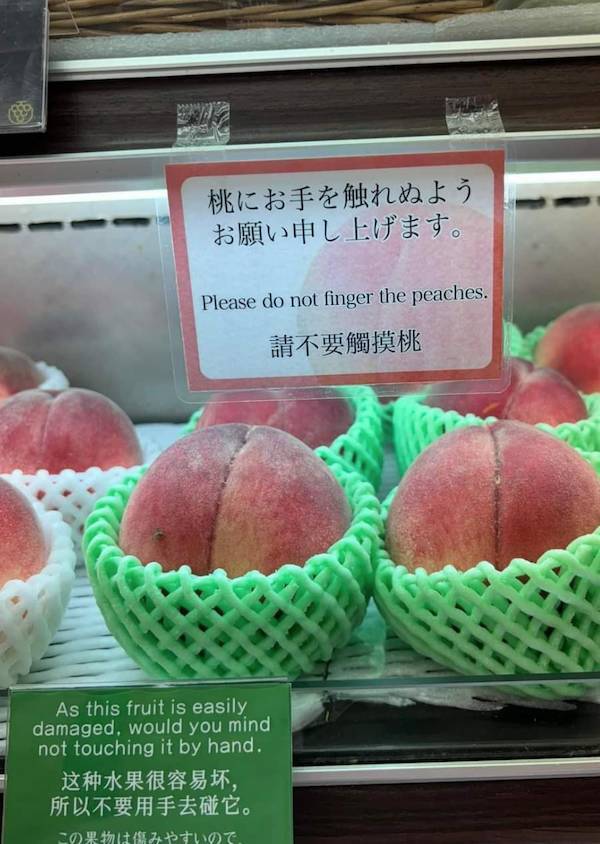 dirty dump for dirty minds 40 pics 18.html - 40 HD Photos | Premium Gallery 2025