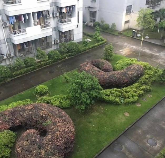 dirty dump for dirty minds 37 pics 17.html - 37 HD Photos | Premium Gallery 2025