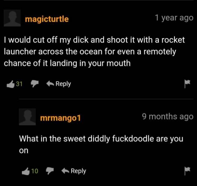 PornHub’s Comments Are Always Wild!