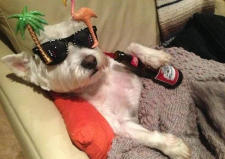 Cheers Everyone!