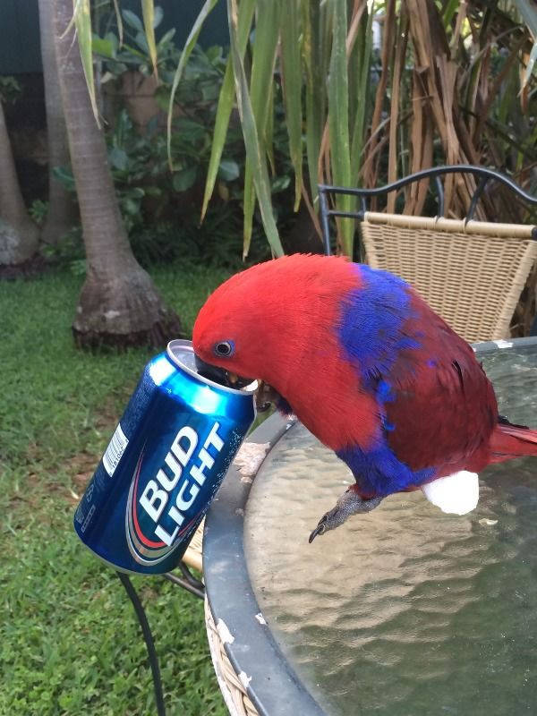 cheers everyone 33 pics 17.html - 33 HD Photos | Premium Gallery 2025