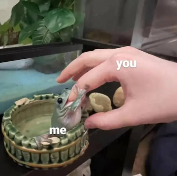 Flirty Memes To Annoy Your Better Half