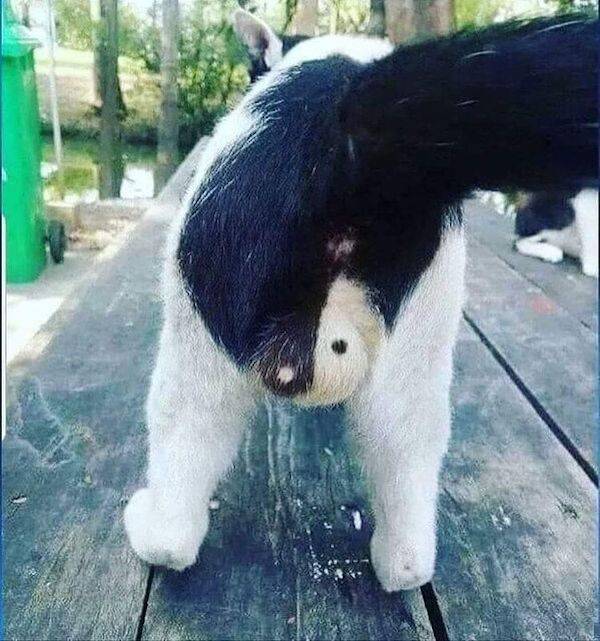 dirty dump for dirty minds 36 pics 8.html - 36 HD Photos | Premium Gallery 2025