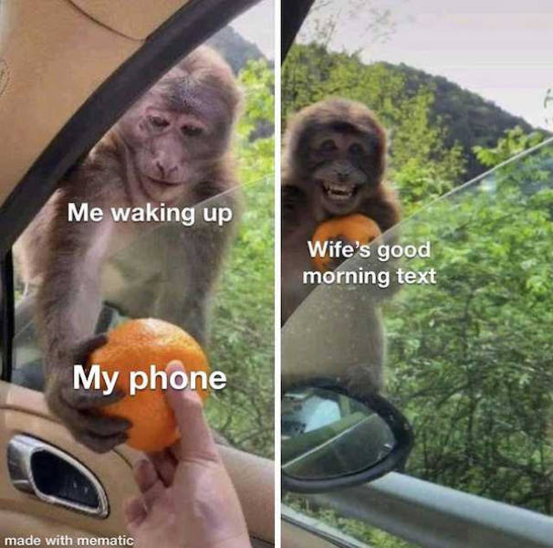 Flirty Memes To Annoy Your Better Half