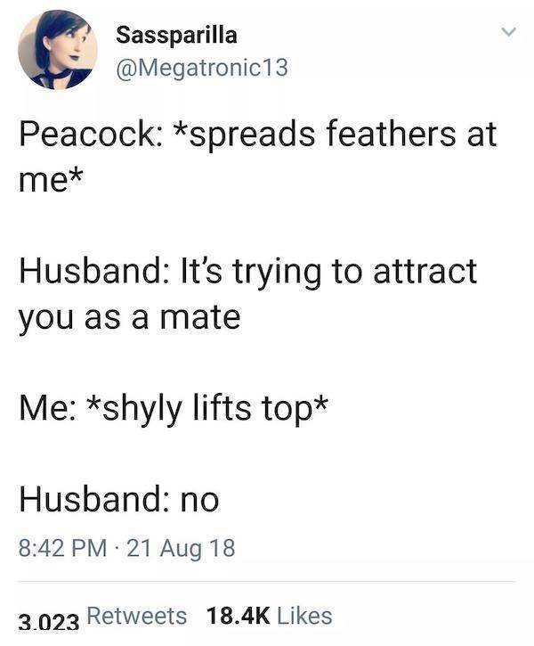 Flirty Memes To Annoy Your Better Half