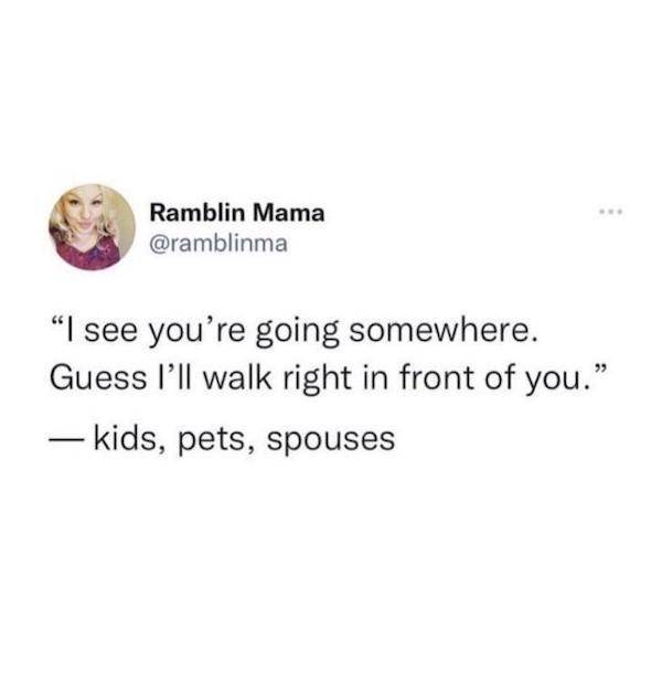 flirty memes to annoy your better half 32 pics 8.html - 32 HD Photos | Premium Gallery 2025