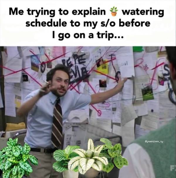 Flirty Memes To Annoy Your Better Half