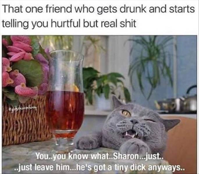 drinking never ends 35 pics 17.html - 35 HD Photos | Premium Gallery 2025