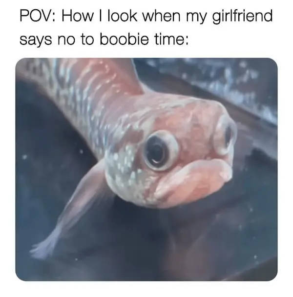 Flirty Memes To Annoy Your Better Half