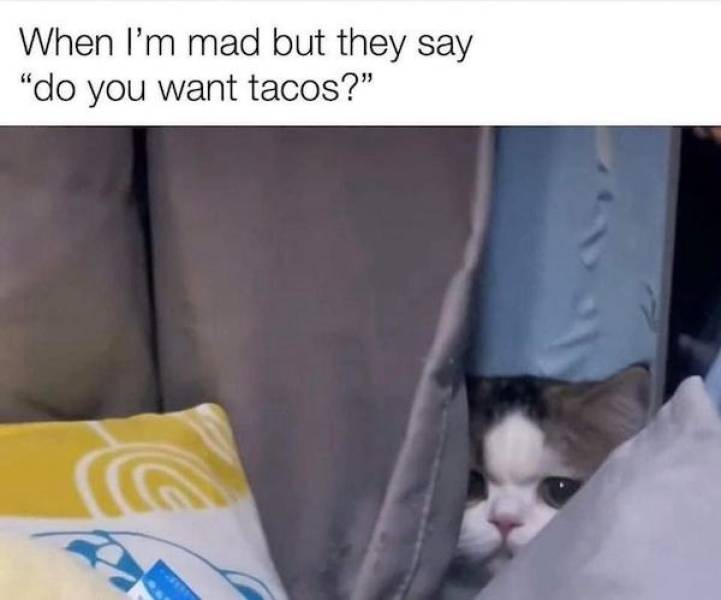 dirty dump for dirty minds 32 pics 2.html - 32 HD Photos | Premium Gallery 2025