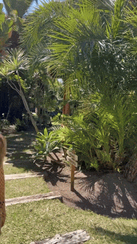 Izigirls Are Waiting For You!