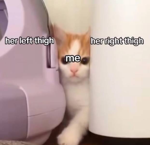 Flirty Memes To Send Your Better Half